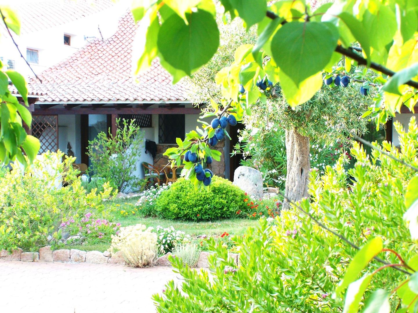 Club hotel Ragno d'Oro
