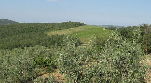 Casina Al Vento