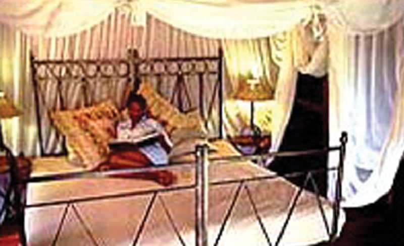 Zululand Tree Lodge