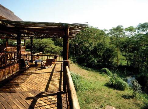Zululand Tree Lodge