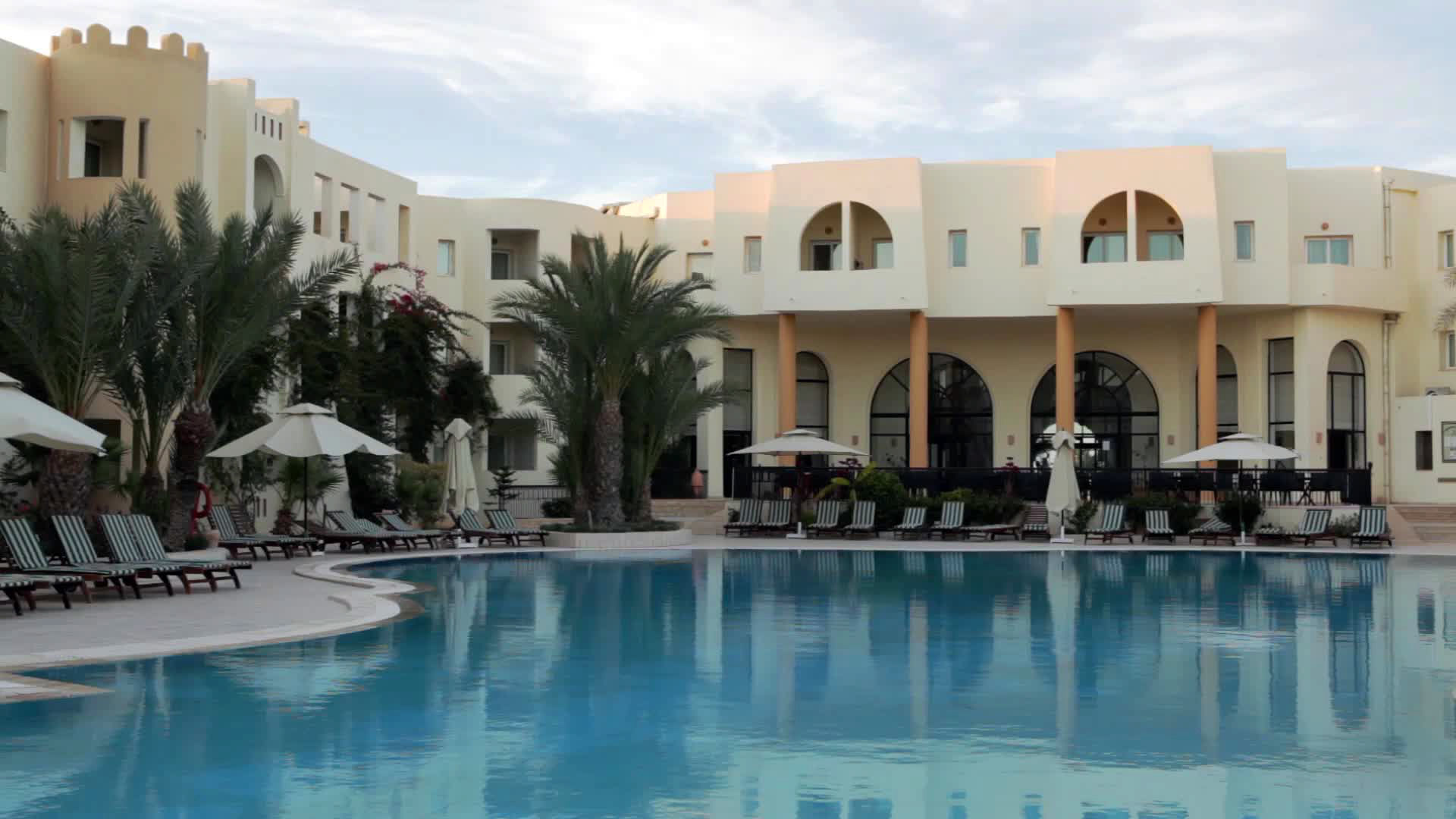 Green Palm