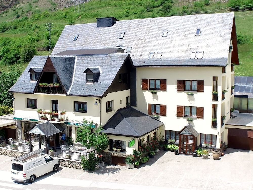 Edelweiss Arties