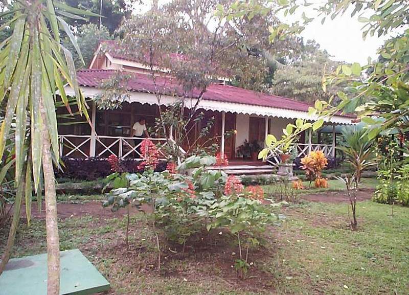 Jungle Lodge