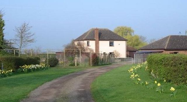 Pointers Guest House