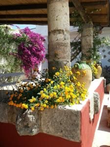 Da Mesciu Nzinu B&B