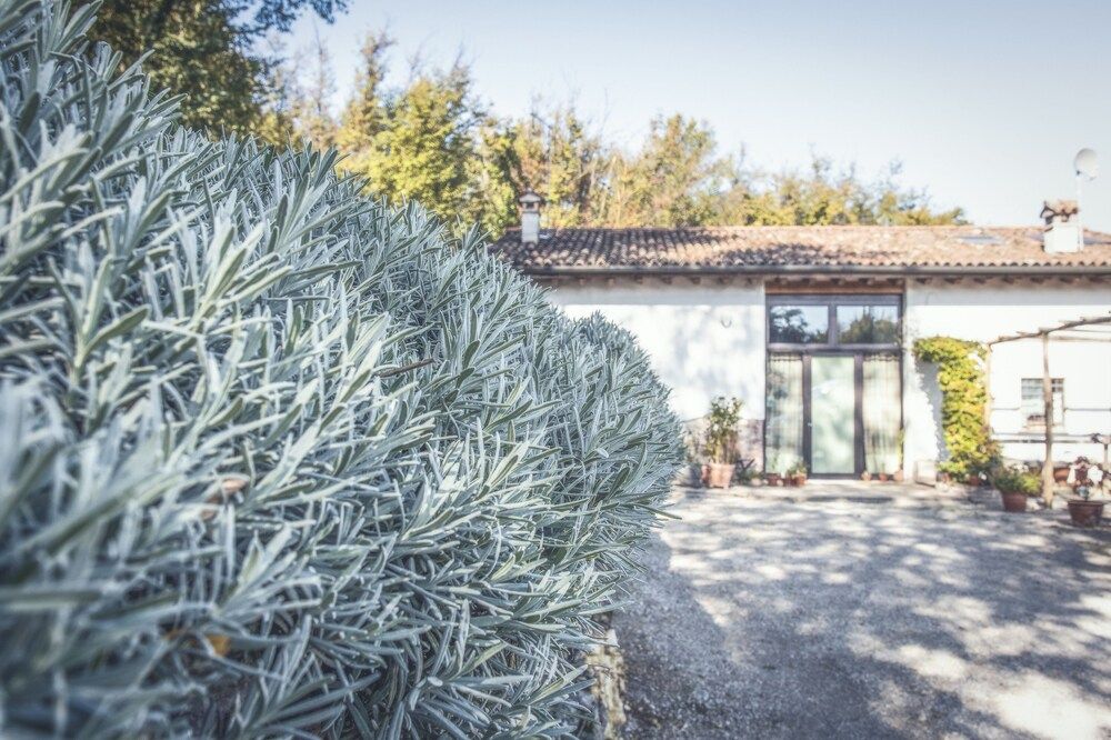Bosco Antico Bed & Breakfast