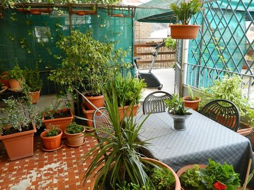 Crispi Rooms