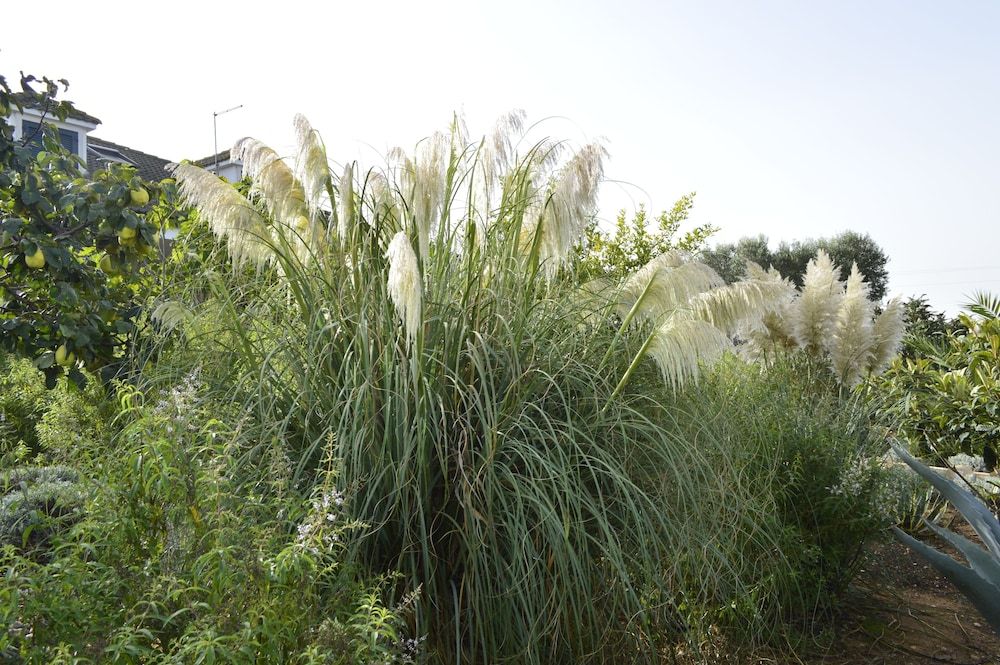 B&B Villa Lavanda