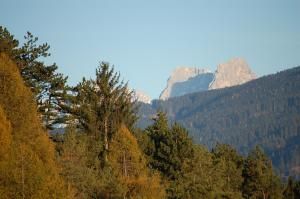B&B Le Betulle