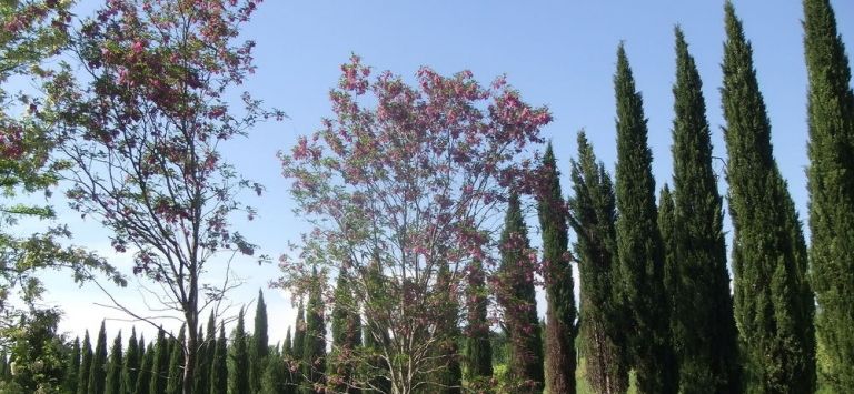 Agriturismo Tenuta Le Colonie