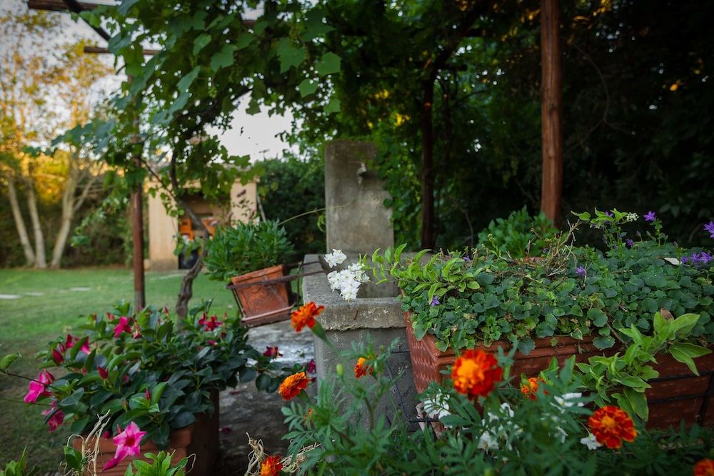 Antica Pinciana Agriturismo
