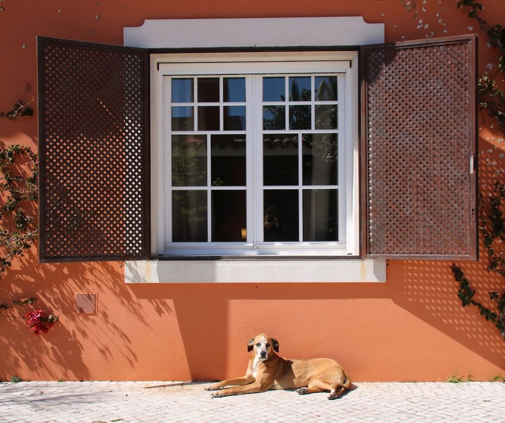 Quinta Tagus