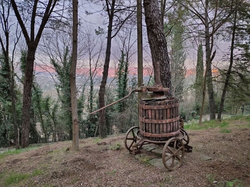 Antico Podere Il Bugnolo B&B