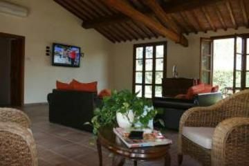 Pisa Holidays Bed & Breakfast