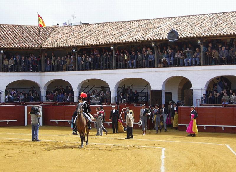 Hotel Plaza de Toros