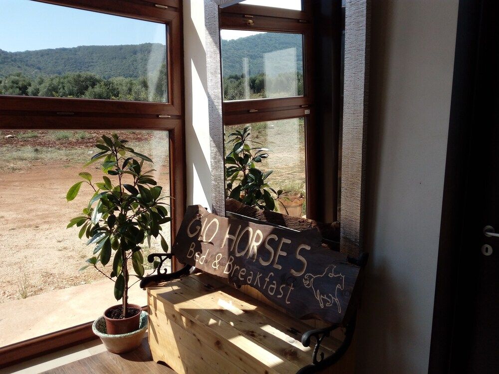Gio Horses Bed & Breakfast