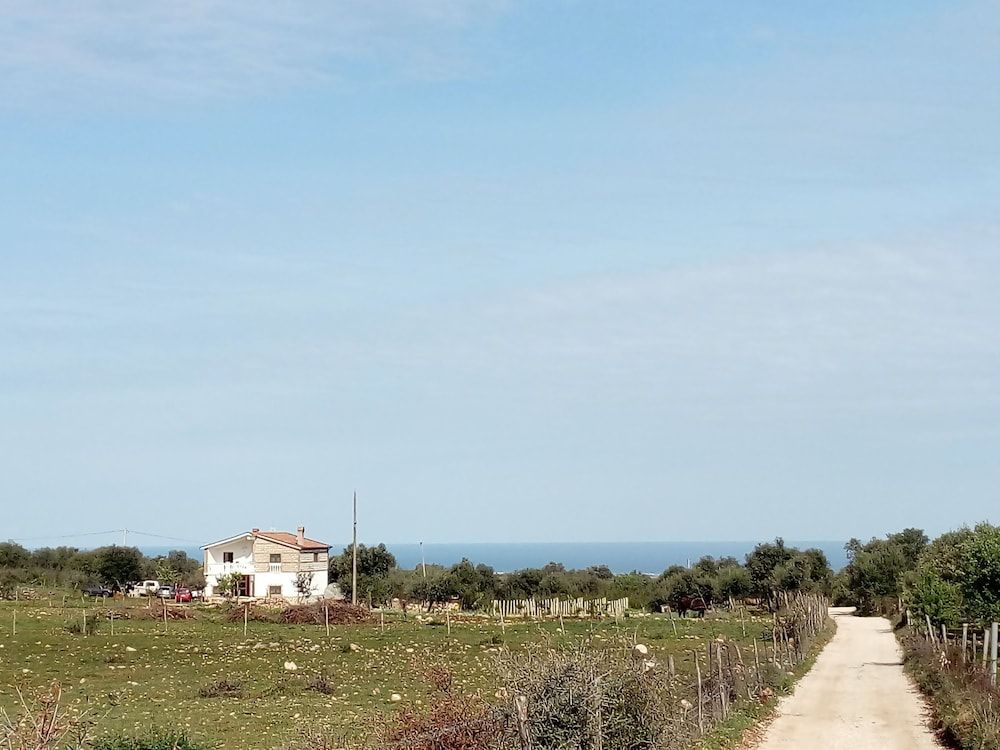 Gio Horses Bed & Breakfast