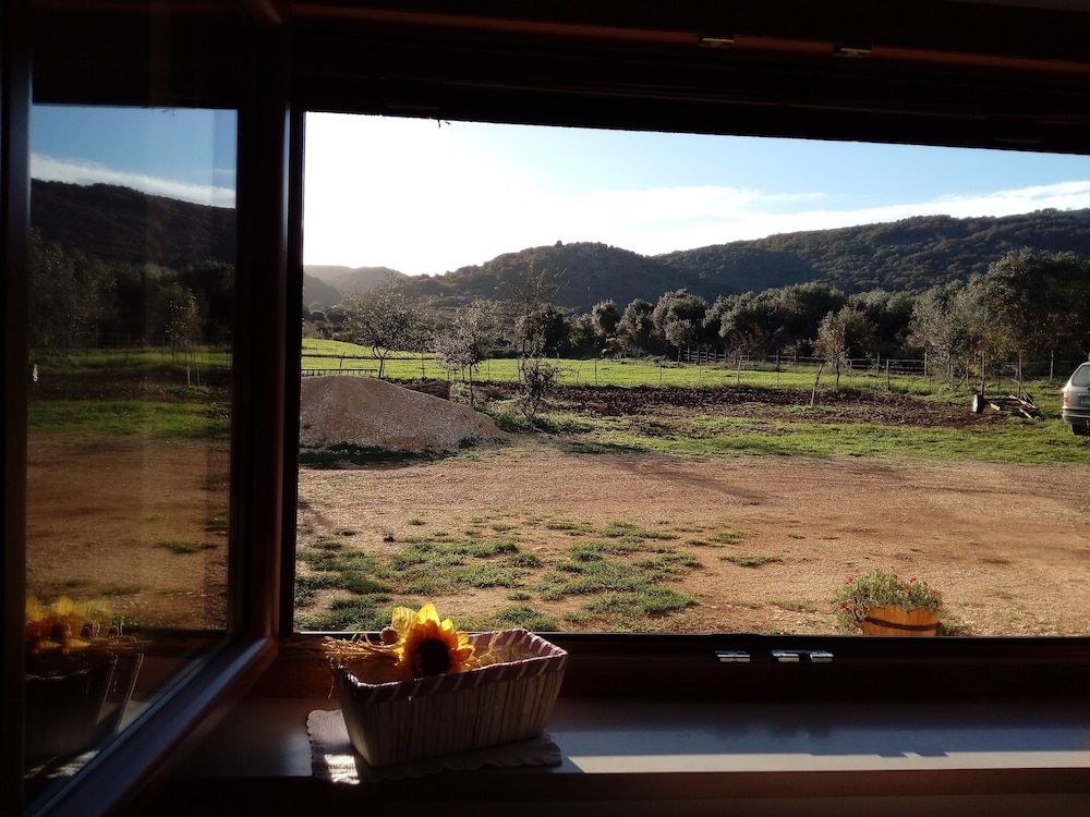 Gio Horses Bed & Breakfast