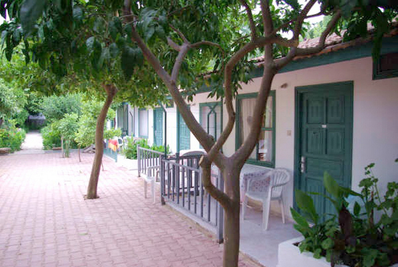 Mutlu