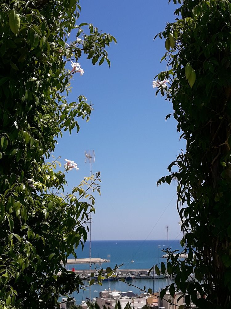 B&B Le Terrazze