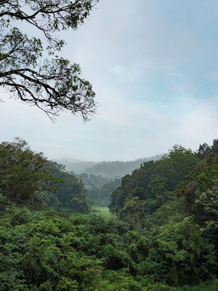 Coorg Marriott Resort & Spa