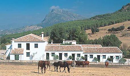 El Horcajo