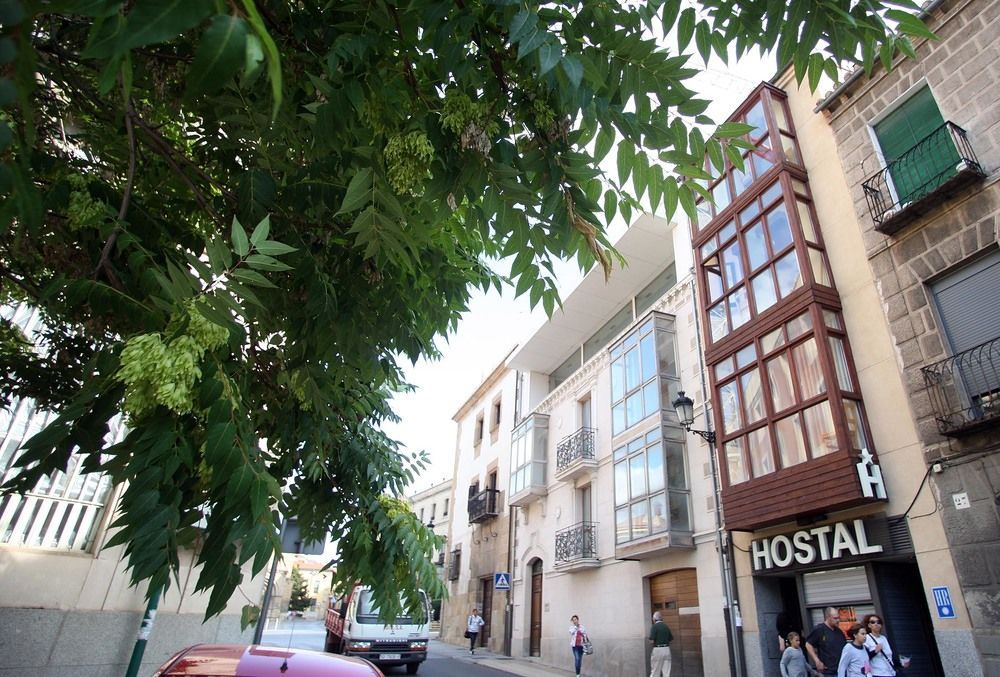 Hostal Caballeros