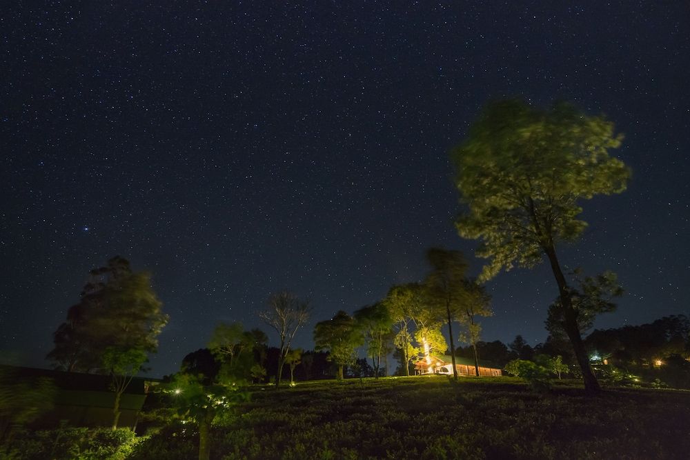 Madulkelle Tea and Eco Lodge