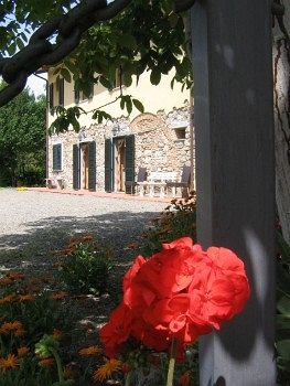Il Gelso