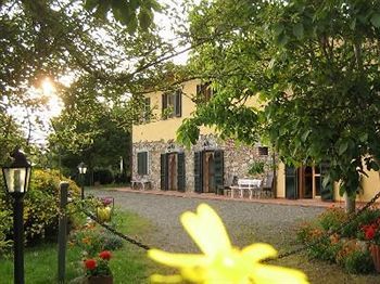 Il Gelso