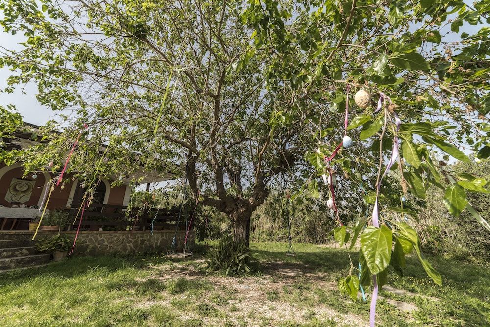 Country House Araba Phoenix