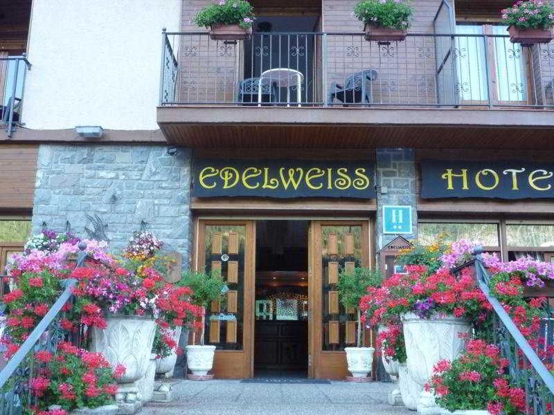 Edelweiss