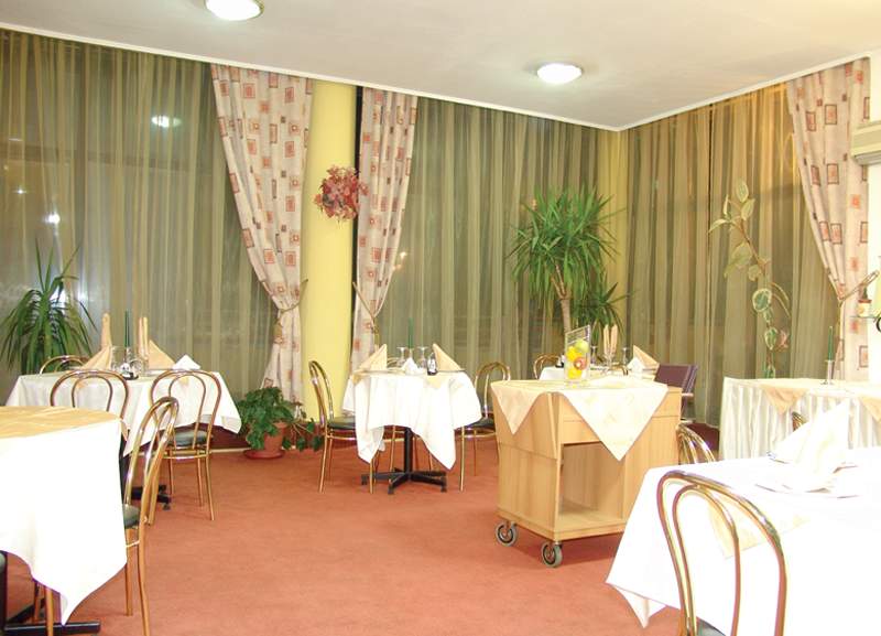 Guci