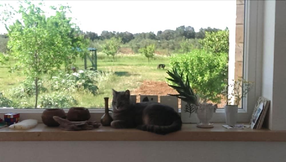 Bed and Breakfast Sosta A Ponente