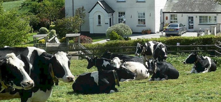 Wheatley Farm