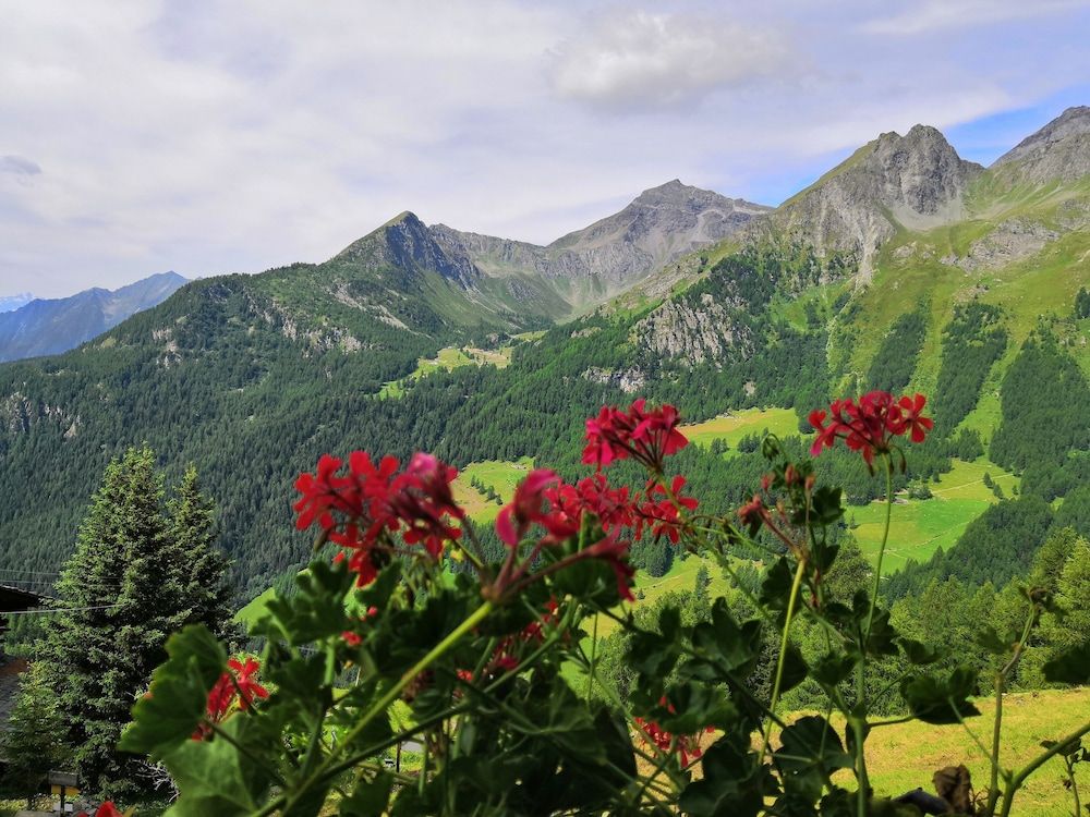 Rifugio Di Guide Frachey