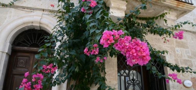 B&B Il Palazzotto