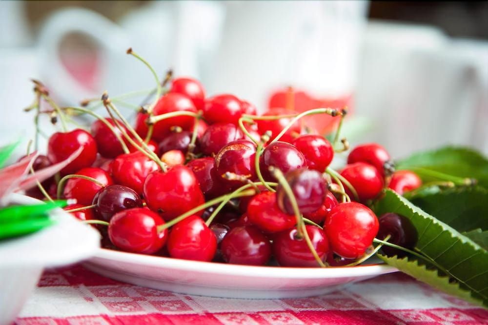 Bed & Breakfast Bricco dei Ciliegi