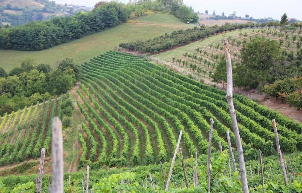Agriturismo I Galli