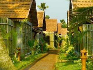 Abad Whispering Palms