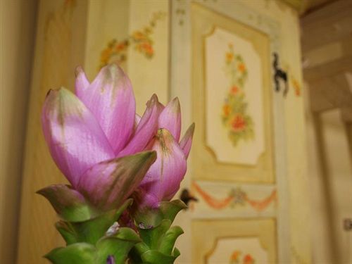 B&B Casa Fiore
