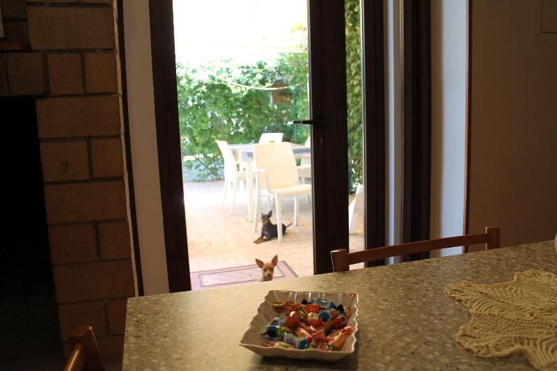 Casa Bluelive