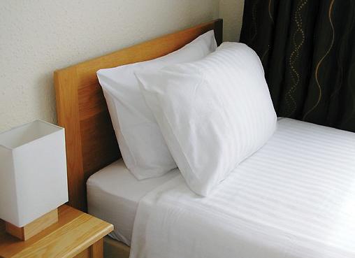 Geckos Rest