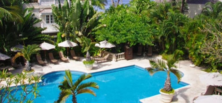 Coral Reef Club