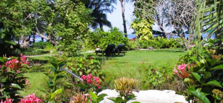 Coral Reef Club