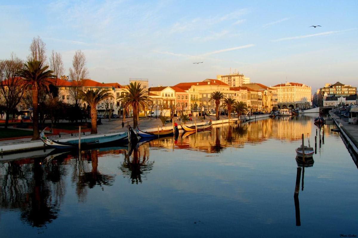 Moliceiro