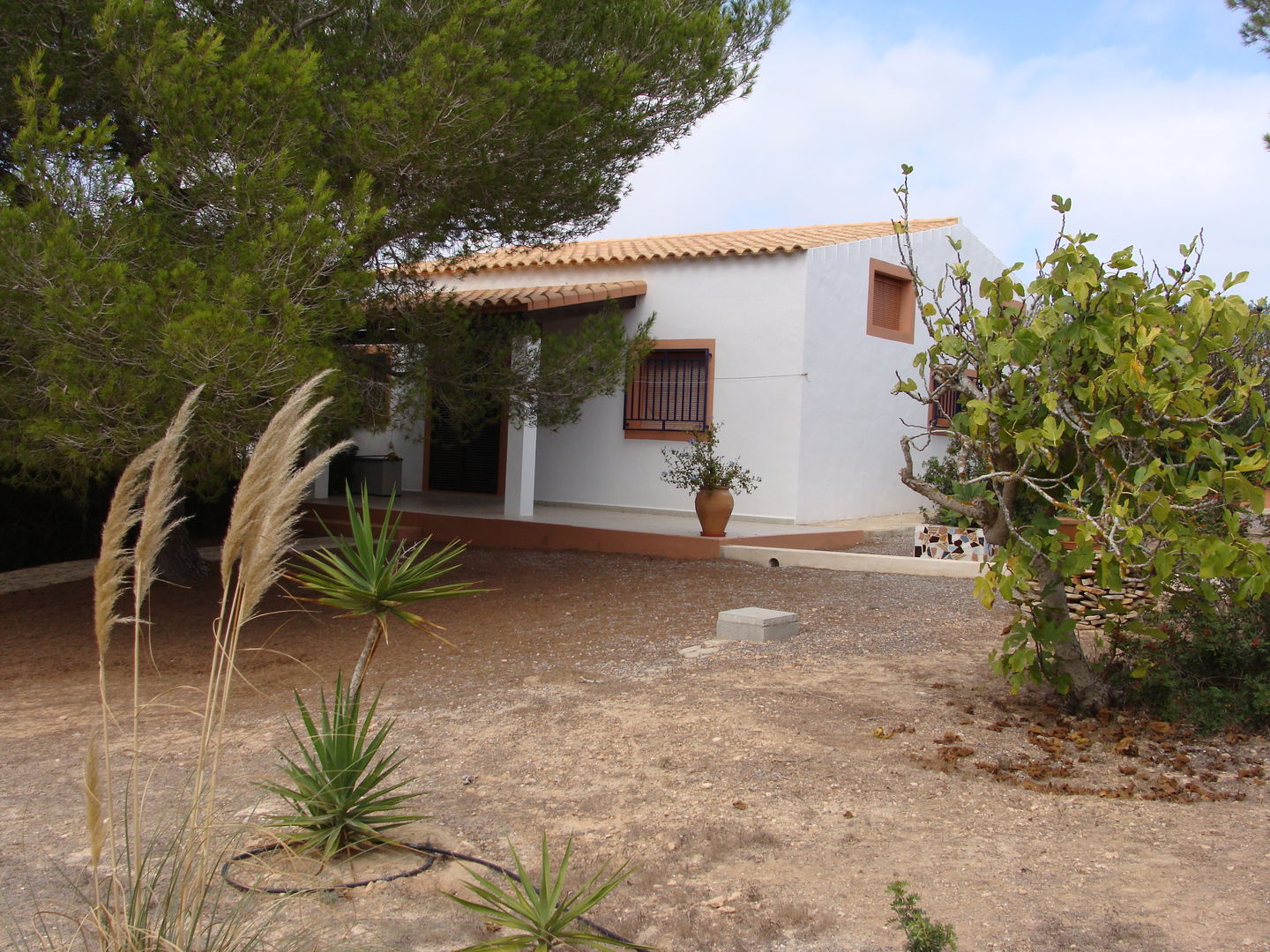 Apartements Los Olivos