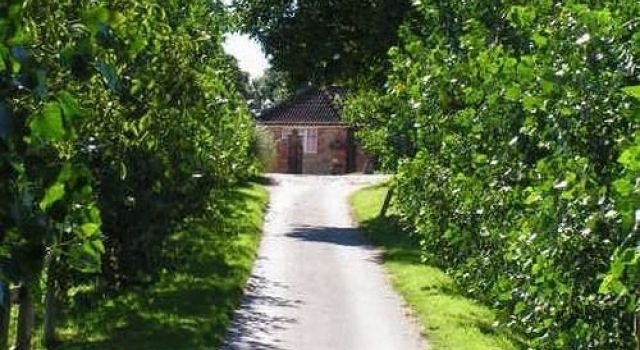 Blounts Court Farm - B&B