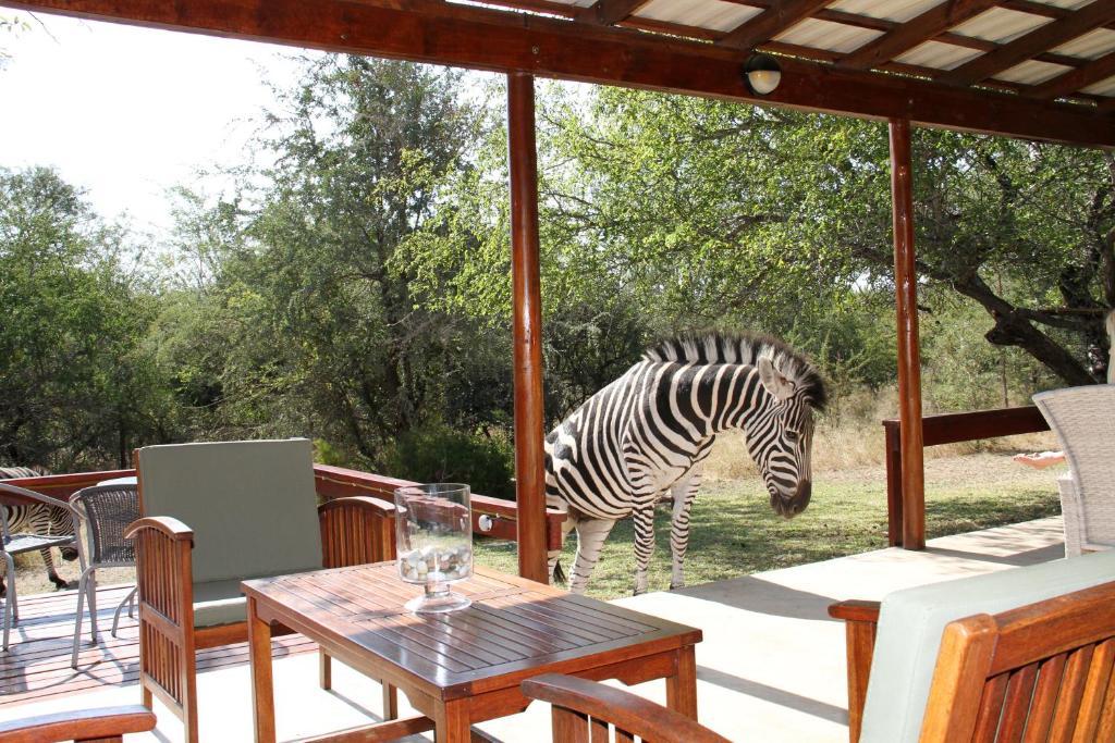 Turaco Lodge