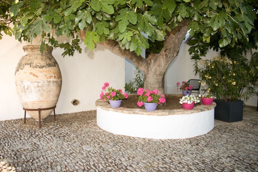 Cortijo El Guarda